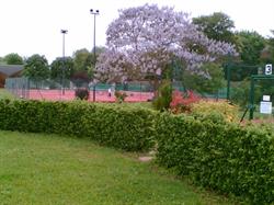 Tennis Club de Meulan Hiver, - Horaires d'ouverture
