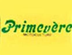 Primevere, Salon-de-Provence - Horaires d'ouverture