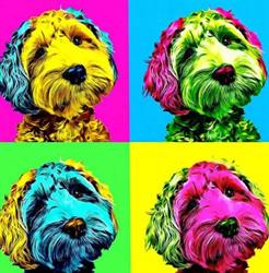 Au Salon du Chien, Saint-Quentin - Horaires d'ouverture