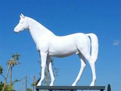 Poney Ranch De La Crau, - Horaires d'ouverture