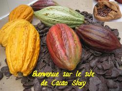 Cacao Story, Bernay - Horaires d'ouverture