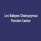 Champeyroux Pension Canine Yves, Champs - Horaires d'ouverture