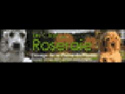 SARL CHENIL DU CLOS DE LA ROSERAIE, Nomain - Horaires d'ouverture