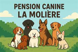 Pension Canine de la Molière, Peyrusse-le-Roc - Horaires d'ouverture