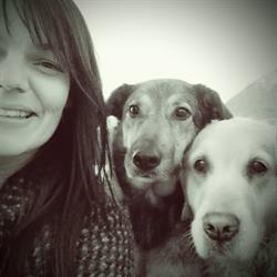 Holidogs, Saint-Jorioz - Horaires d'ouverture