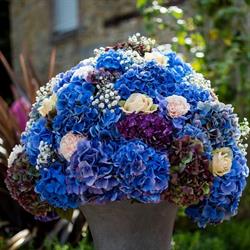 Les Hortensias Du Haut Bois, Taupont - Horaires d'ouverture