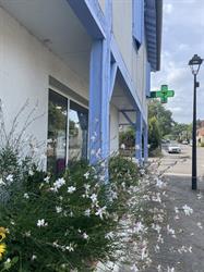 Pharmacie Lanic, Labrit - Horaires d'ouverture