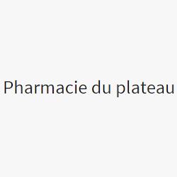 Pharmacie du Plateau, Saint-André-de-l'Eure - Horaires d'ouverture