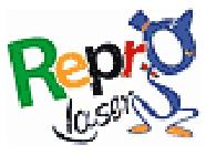 Reprolaser, Villeneuve-sur-Lot - Horaires d'ouverture
