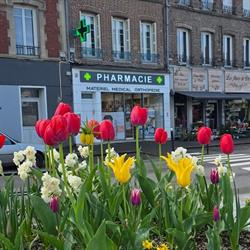 Pharmacie de la Varenne, Saint-Saëns - Horaires d'ouverture