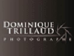 Trillaud Dominique, Bessines-sur-Gartempe - Horaires d'ouverture