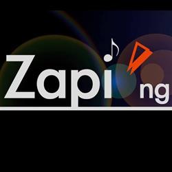 Zapi'ng SARL, Grande-Synthe - Horaires d'ouverture