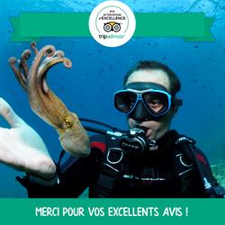 Aventure Sous-Marine, Saint-Raphaël - Horaires d'ouverture