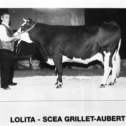 Grillet-aubert Dominique, Saint-Paul-en-Chablais - Horaires d'ouverture