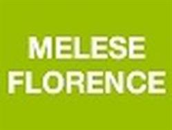 Melese Florence, Paris - Horaires d'ouverture