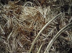 Barbat Recyclage, Ingré - Horaires d'ouverture