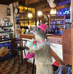 Restaurant La Pierre Chaude, Chamrousse - Horaires d'ouverture