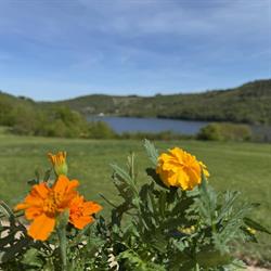 Auberge Le Bosquet Fleuri, Bully - Horaires d'ouverture