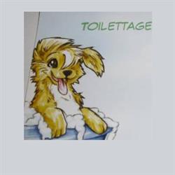 Toilettage Canin Chez Sylvie, Caudan - Horaires d'ouverture