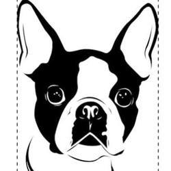Amour Canin, Marseille - Horaires d'ouverture