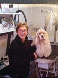 Allure de Chien, Fegersheim - Horaires d'ouverture