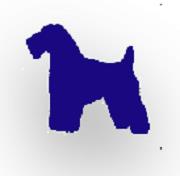 Canis Major, Beaucourt - Horaires d'ouverture