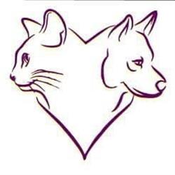 Toutou Minou Clean, Pessac - Horaires d'ouverture