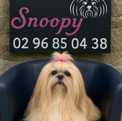 Snoopy, Dinan - Horaires d'ouverture