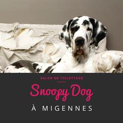 Snoopy Dog, Migennes - Horaires d'ouverture