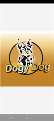 Dogy Dog, Wavrin - Horaires d'ouverture