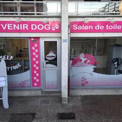 A'venir Dog, Reignier-Esery - Horaires d'ouverture