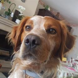 L'Esthetic Canin, Savigny-sur-Orge - Horaires d'ouverture