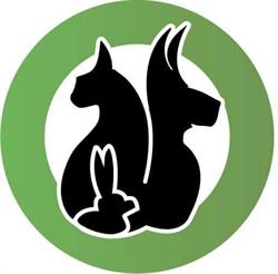 Lady Dog, Reims - Horaires d'ouverture