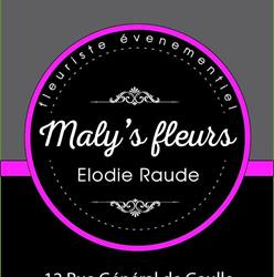 Maly's Fleurs, Plouhinec - Horaires d'ouverture