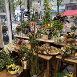 Atelier Flor Designer, Fleuriste Grenoble, - Horaires d'ouverture
