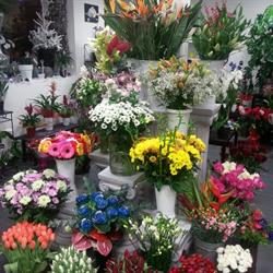 Porte des lilas fleuriste, Caraman - Horaires d'ouverture