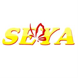 Seya Informatique, Chaville - Horaires d'ouverture