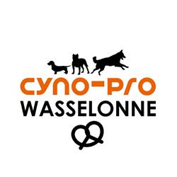 Cyno Pro, Wasselonne - Horaires d'ouverture