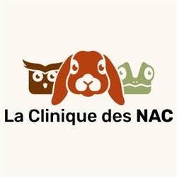 Clinique vétérinaire des NAC, Toulouse - Horaires d'ouverture