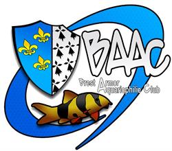 Baac - Brest Armor Aquariophilie Club, - Horaires d'ouverture