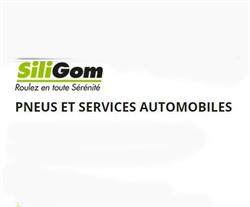 Pneus Et Services Automobiles SARL, Douvaine - Horaires d'ouverture