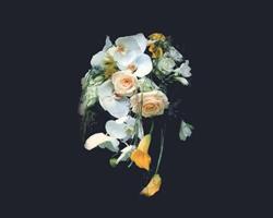 Miss Fleurs, Loos - Horaires d'ouverture