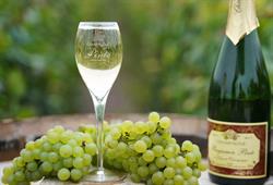 Pinte Earl, Lisse-en-Champagne - Horaires d'ouverture