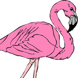 Le Flamand Rose, Apt - Horaires d'ouverture