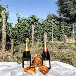 Champagne Gioria-Latizeau, Saulchery - Horaires d'ouverture
