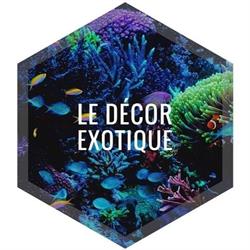 Décor Exotique, Paris - Horaires d'ouverture