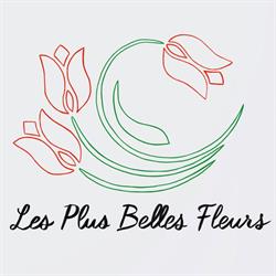 Les Plus Belles Fleurs, Vic-en-Bigorre - Horaires d'ouverture
