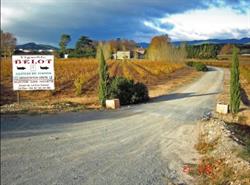 Vignoble Belot, Pierrerue - Horaires d'ouverture