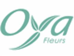 Blumstein Fleurs SARL, Guebwiller - Horaires d'ouverture