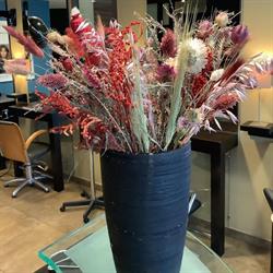 Coiff Hair, Saint-Pierre-du-Mont - Horaires d'ouverture